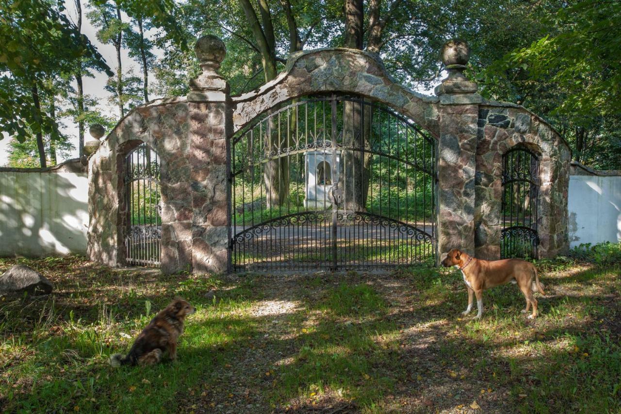 Dom Lowczego Gnoyna Park Casa de hóspedes Radziejowice Exterior foto